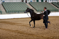 R319_FriPM_1572