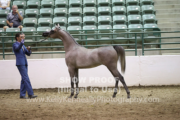 R319_FriPM_1597