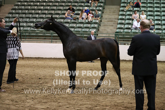 R319_FriPM_1614