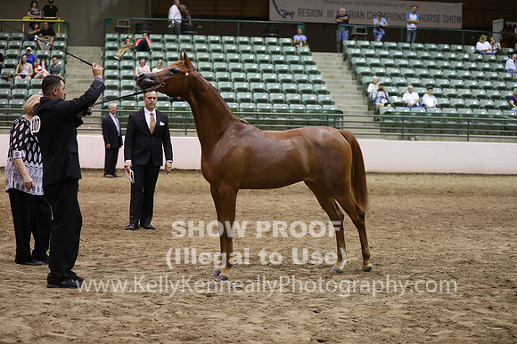 R319_FriPM_1619