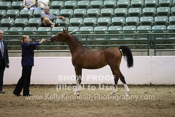 R319_FriPM_1623