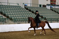 R319_FriPM_1657