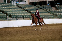 R319_FriPM_1662