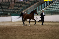 R319_FriPM_1730