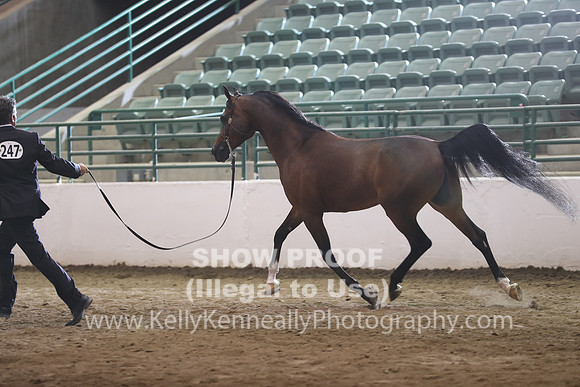 R319_FriPM_1732