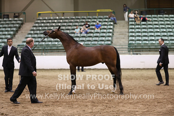 R319_FriPM_1752