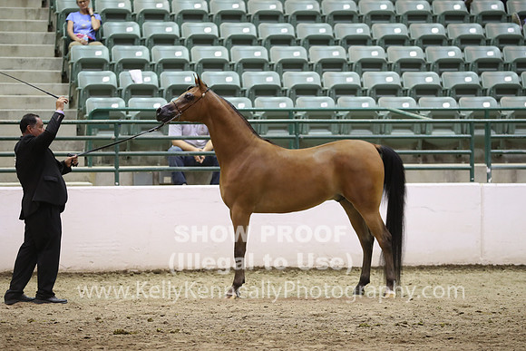 R319_FriPM_1755