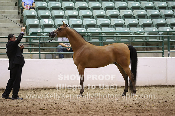 R319_FriPM_1756