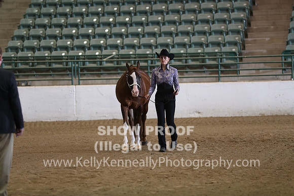 R319_Sat_2138