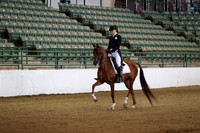 Class 320 Region 3 Arabian English Show Hack Championship ATR