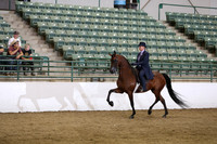 Class 322 Region 3 HA/AA Country English Pleasure Championship AATR 19 yrs/Over