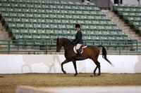 Class 325 Region 3 HA/AA Hunter Pleasure Championship AATR Select