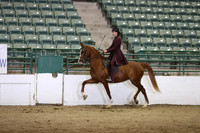Class 329 Region 3 HA/AA Country English Pleasure Championship JTR 18 yrs & Under