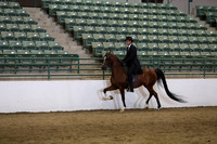 Class 336 Region 3 Arabian Country English Pleasure Champiionship