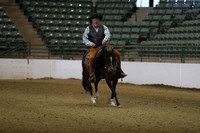Class 337 Region 3  Arabian Ranch Horse Riding Championship Open