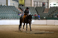 Class 338 Region 3 HA/AA Ranch Horse Riding Championship Open
