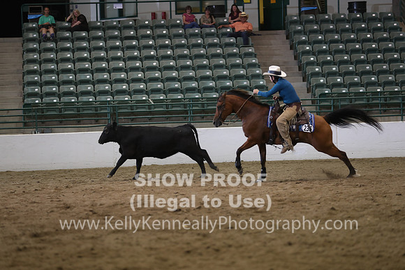 R319_WC_TuesPM_5010