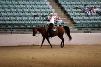 Class 339 - 340 Ranch Horse Riding Championship