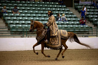 Class 223 Reg 3 Arabian Mounted Native Costume Championship