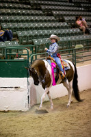 Class 234 Reg 3 HA/AA Western Pleasure Championship JOTR 18 yrs/Under