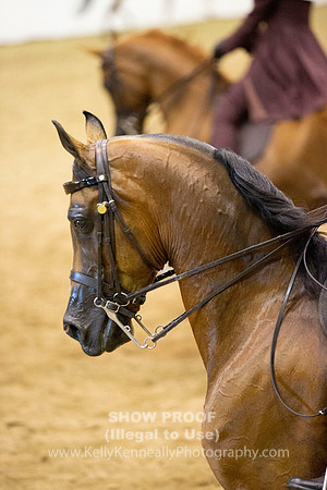 R319_WedBH_0721