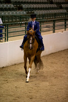 Class 268 Region 3 A/HA/AA Walk/Trot Country English Pleasure Championship Riders 10/Under