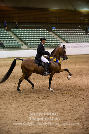 R319_Thurs_BH_1870