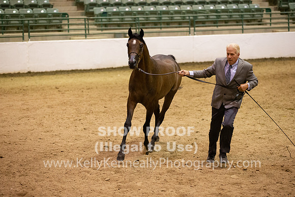R319_FriPMEve_BH_3615