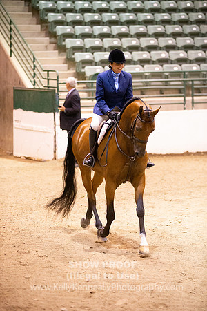 R319_FriPMEve_BH_3662