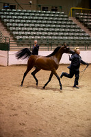 R319_FriPMEve_BH_3764
