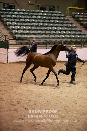 R319_FriPMEve_BH_3764