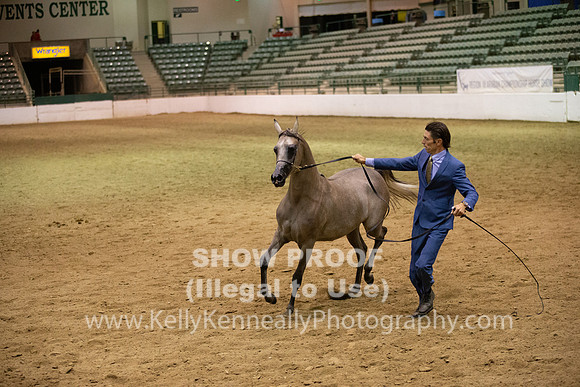 R319_FriPMEve_BH_3793