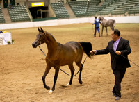 R319_FriPMEve_BH_3807