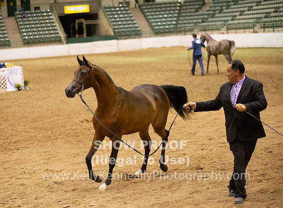 R319_FriPMEve_BH_3807