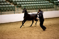R319_FriPMEve_BH_3824