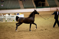 R319_FriPMEve_BH_3831