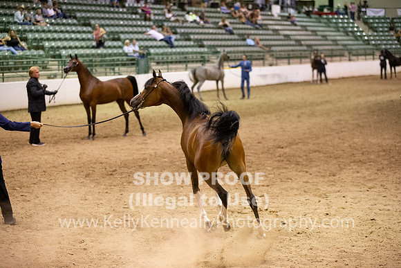 R319_FriPMEve_BH_3853