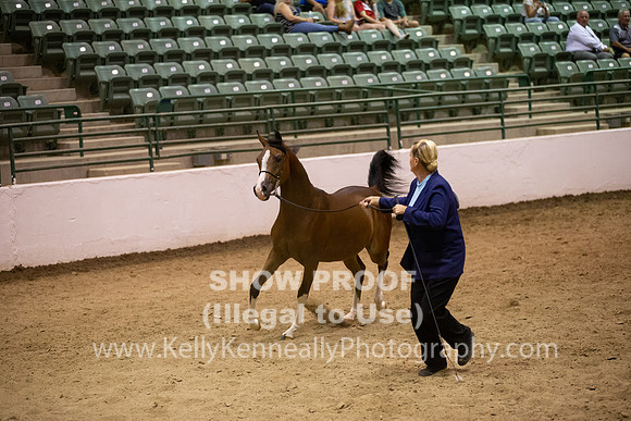 R319_FriPMEve_BH_3855