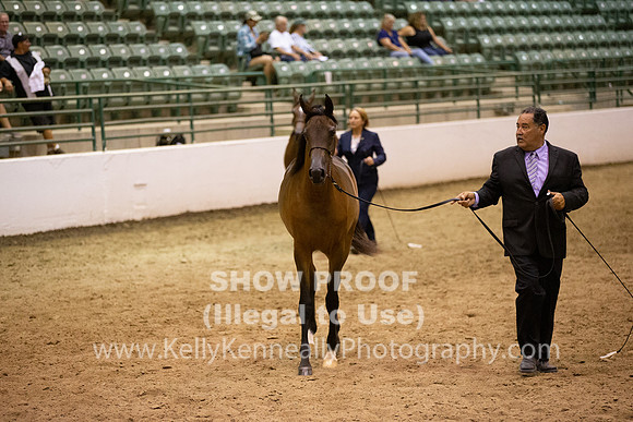 R319_FriPMEve_BH_3870