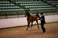 R319_FriPMEve_BH_4054