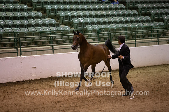 R319_FriPMEve_BH_4054