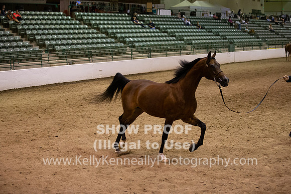 R319_FriPMEve_BH_4058