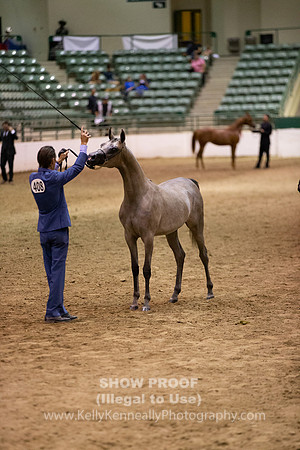 R319_FriPMEve_BH_3896