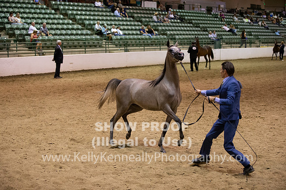R319_FriPMEve_BH_3903