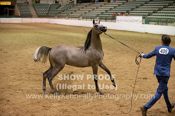R319_FriPMEve_BH_3906