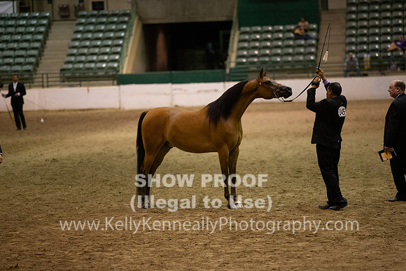 R319_FriPMEve_BH_4094