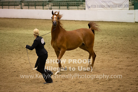 R319_FriPMEve_BH_4113