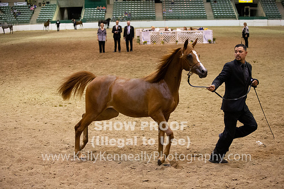 R319_FriPMEve_BH_3965
