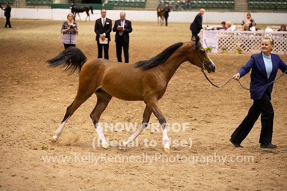R319_FriPMEve_BH_3973