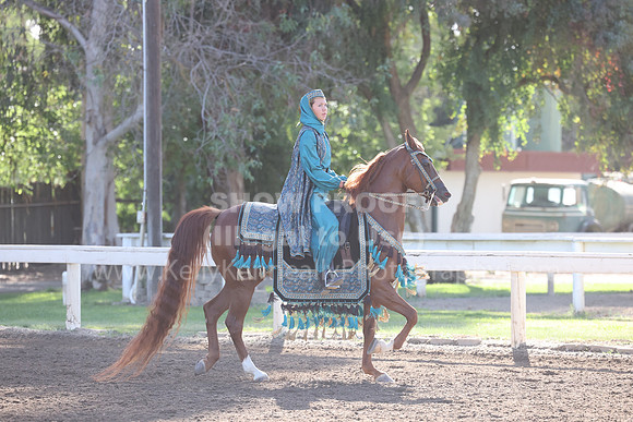 DAHA22_Sun_3114